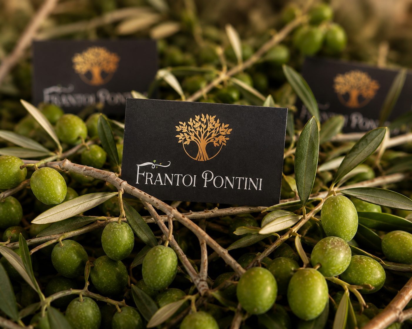 Biglietti da visita Frantoi Pontini